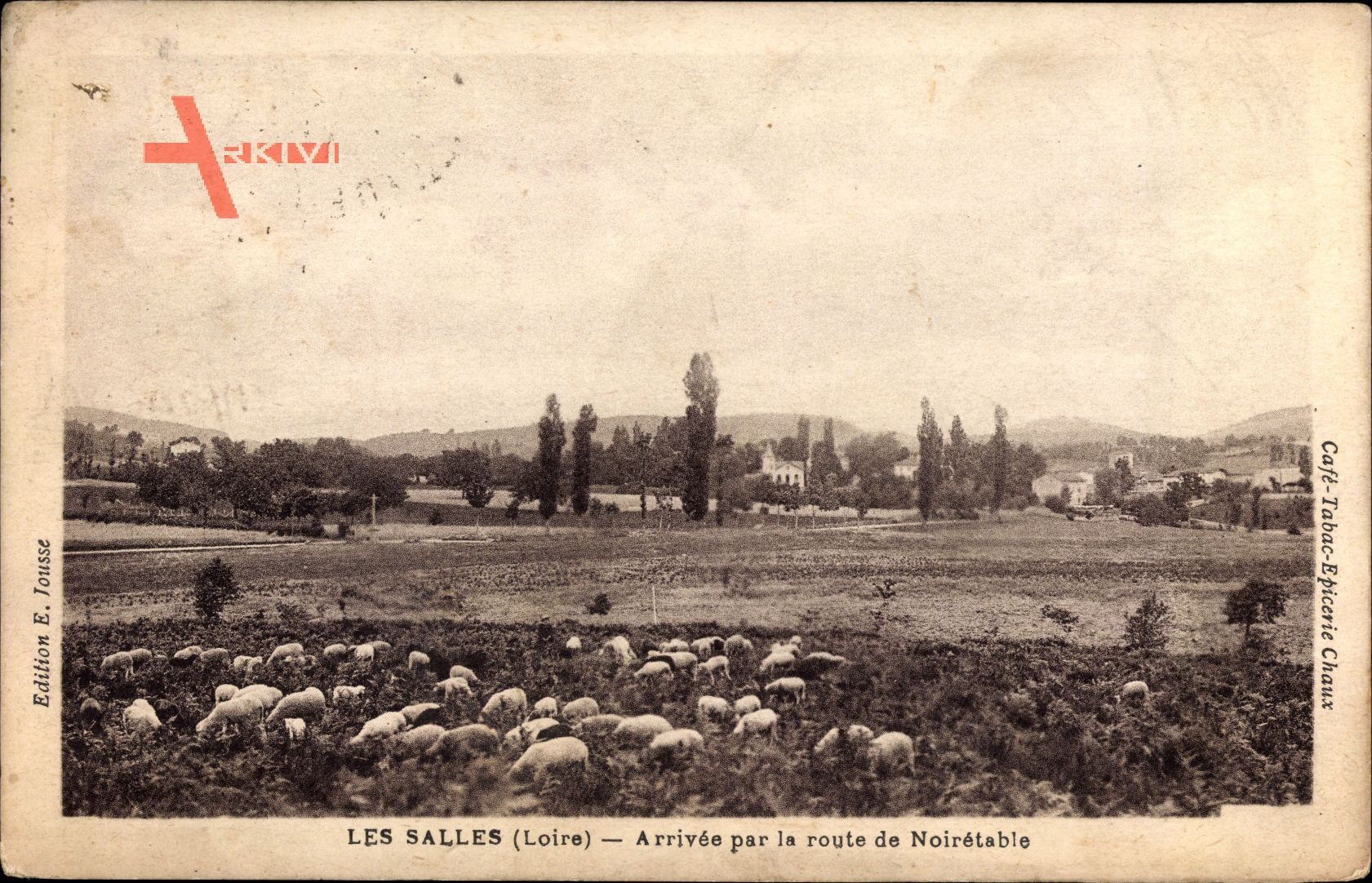 Les Salles Loire, Arrivee par la route de Noiretable, Schafe auf der Weide