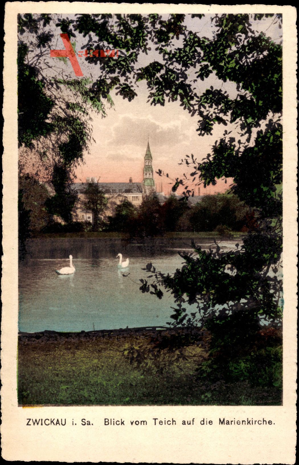 Zwickau in Sachsen, Blick vom Teich auf die Marienkirche