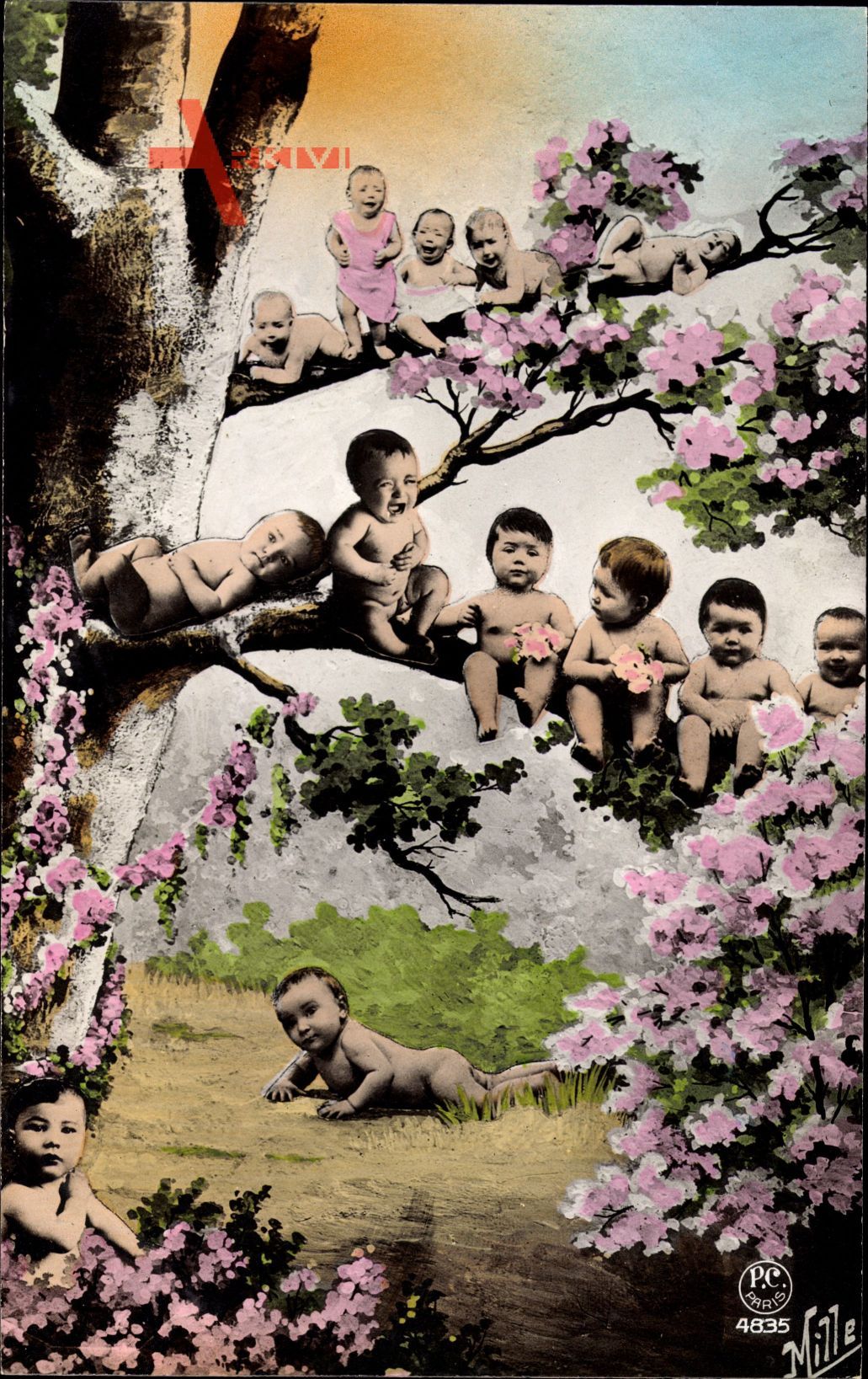 Kinder im Freien, Frühling, Frankreich, Baumblüte, Fotomontage