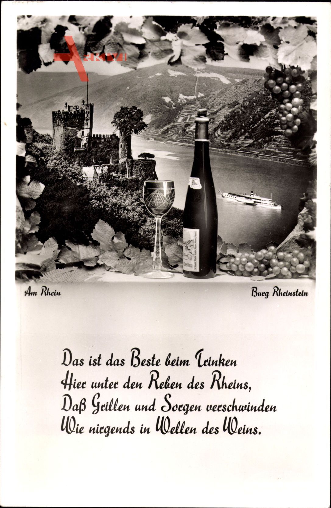 Burg Rheinstein, Das ist das Beste beim Trinken, Weinreben, Wein