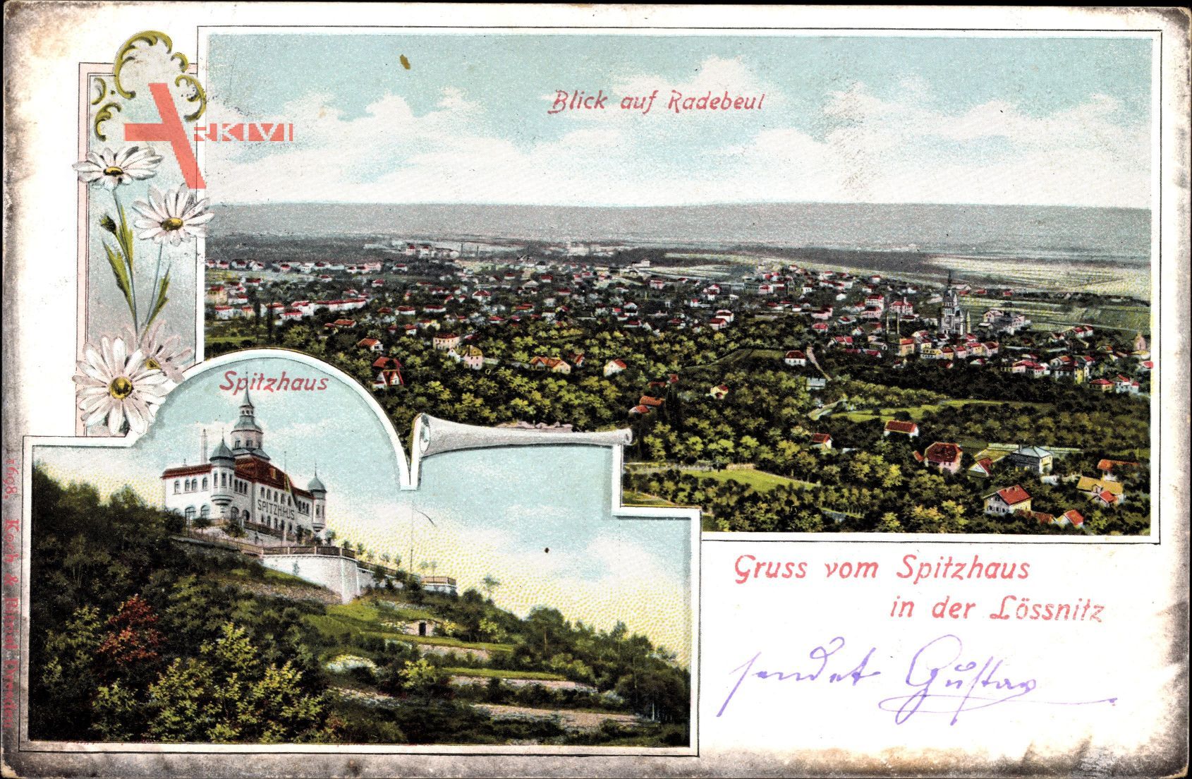 Radebeul Sachsen, Blick auf die Stadt, Spitzhaus mit Terrassen