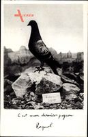 Cest mon dernier pigeon, Verdun, 787 15, 1916, Taube, I. Weltkrieg, Raynal