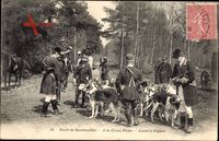 Forêt de Rambouillet, A la Croix Pater, Hetzjagd, Jagdhunde, Meute,Frankreich