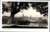 Gdańsk Danzig, Blick vom Bischofsberg, St. Marien Kirche, Frohe Ostern