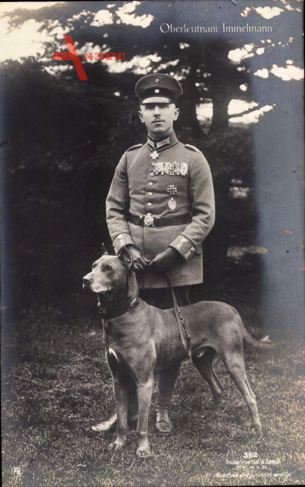 Jagdflieger Oberleutnant Max Immelmann, Sanke 362, Dogge