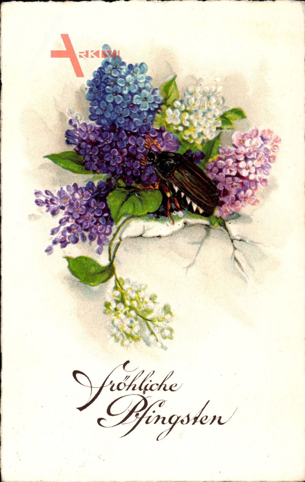Glückwunsch Pfingsten, Maikäfer, Blumen, Lavendel, EAS 5662