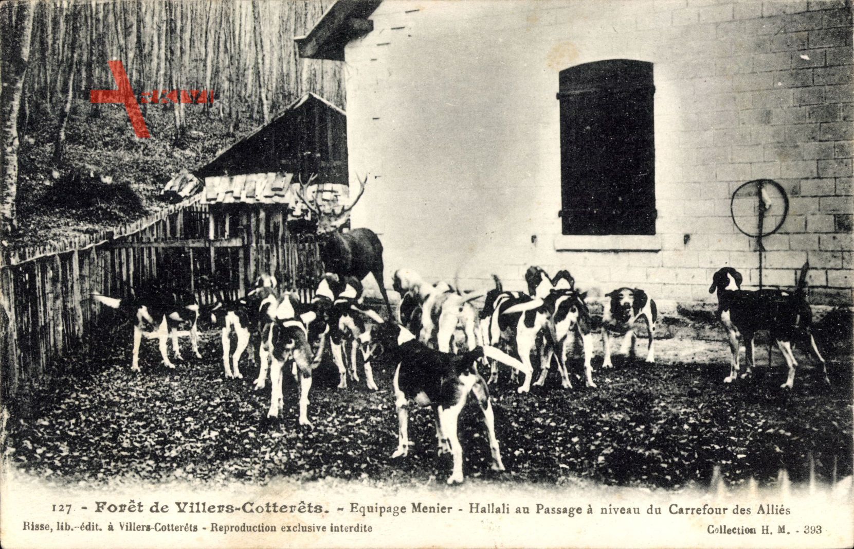 Villers Cotterets Aisne, Forêt, Equipage Menier, Hallali au Passage