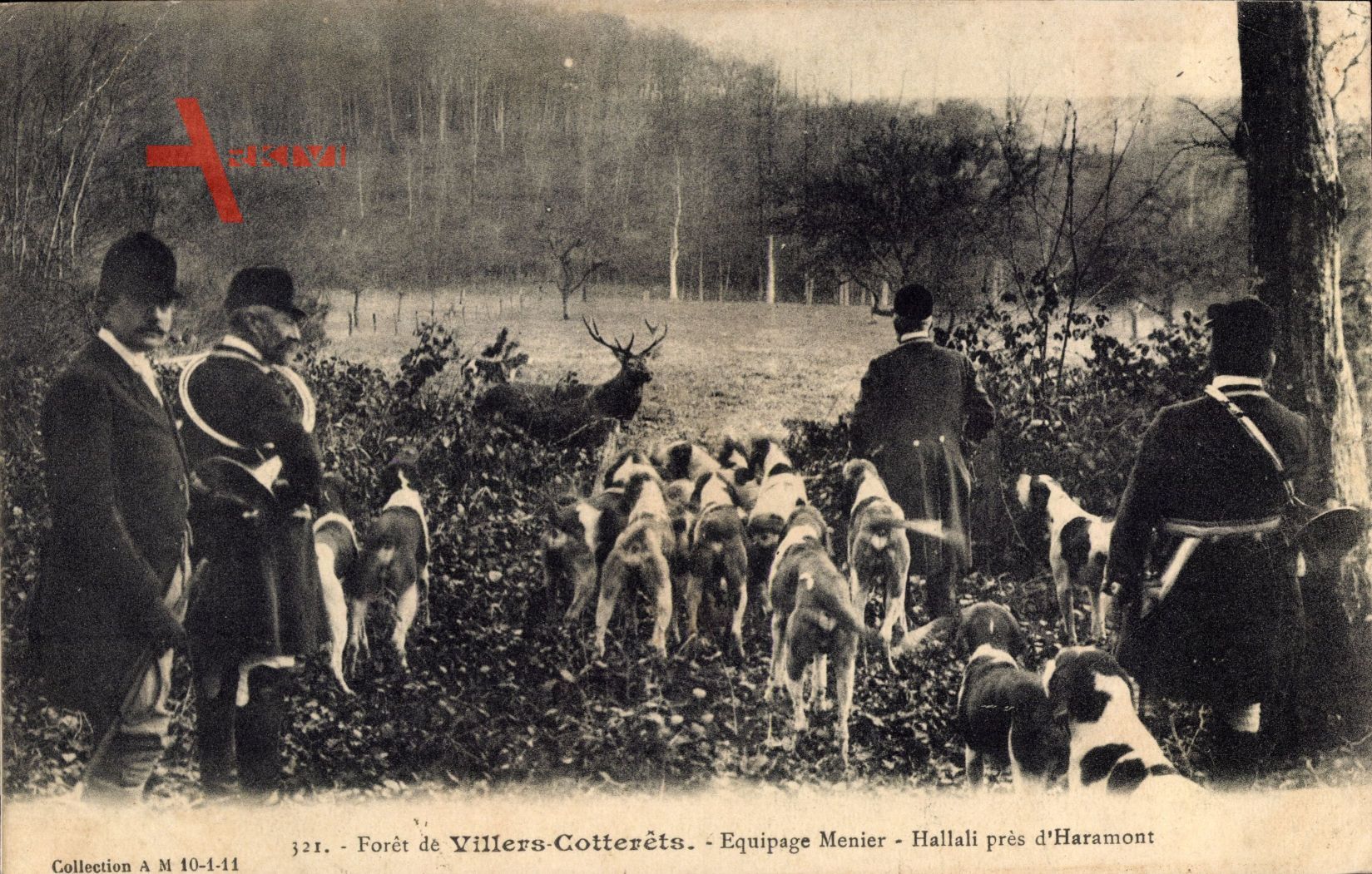Villers Cotterets Aisne, Forêt, Equipage Menier, Hallali près d'Haramont