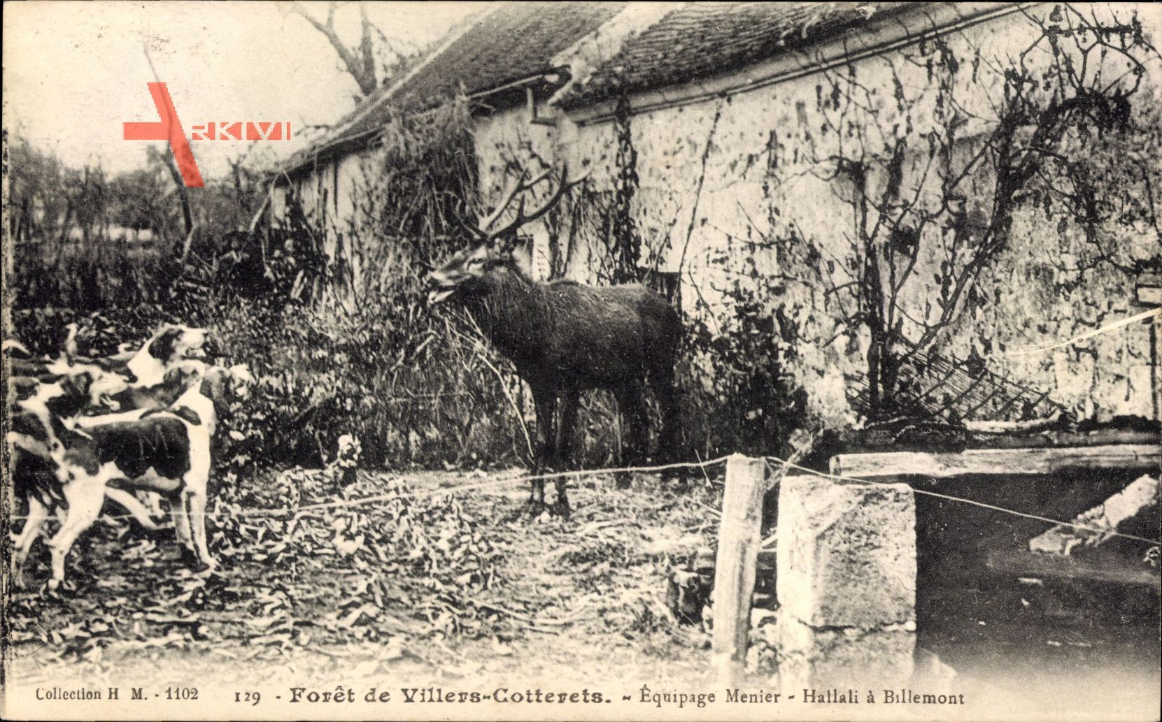 Villers Cotterets Aisne, Forêt, Équipage Menier, Hallali à Billemont