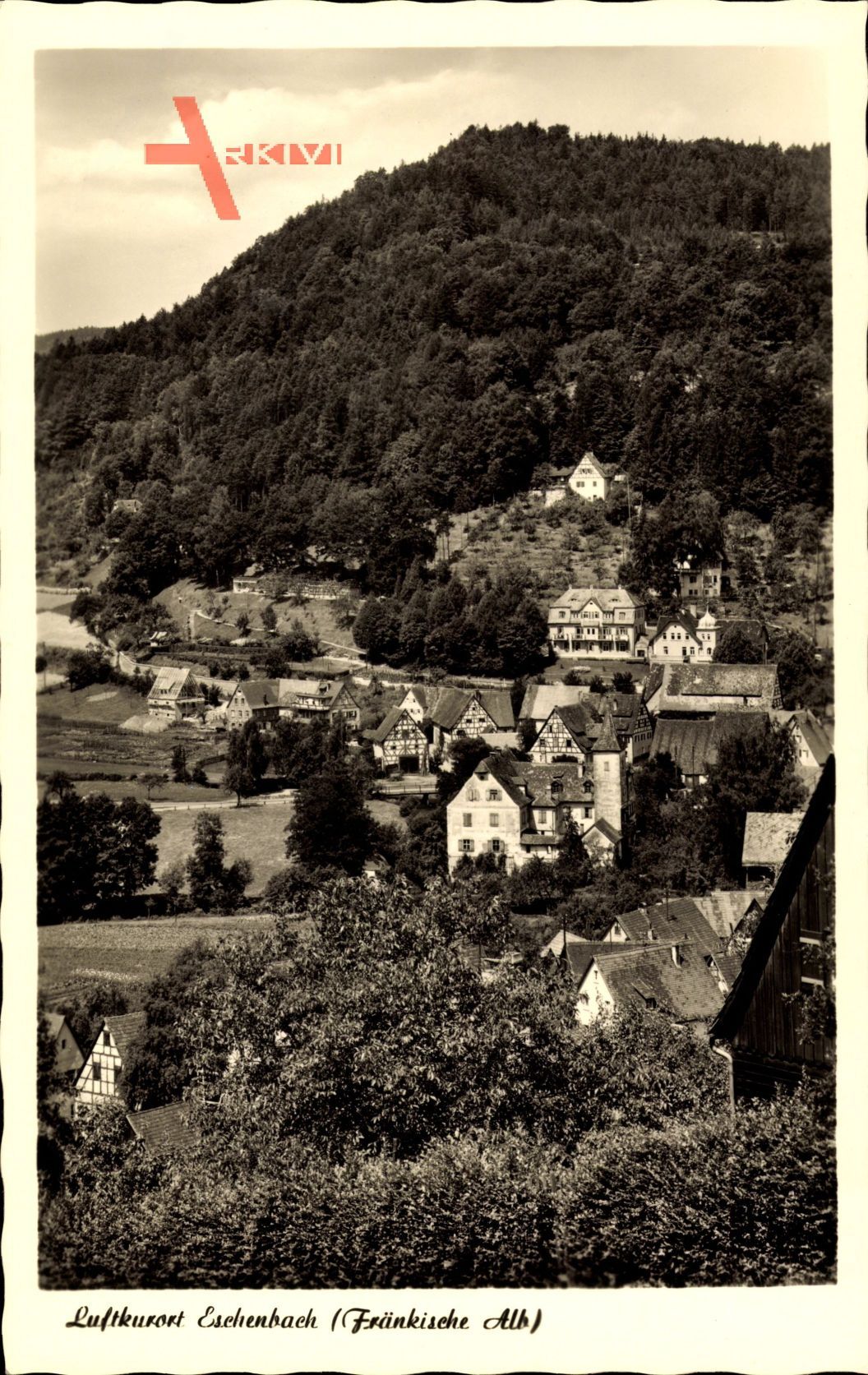 Eschenbach Fränkische Alb, Höheluftkurort, Stadtpanorama, Waldhang