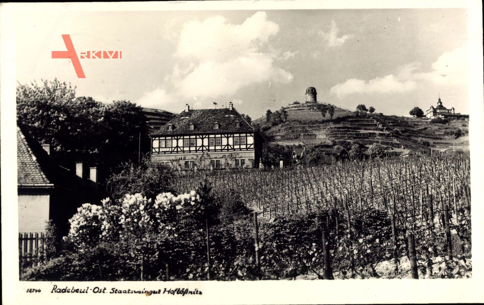 Radebeul im Kreis Meißen, Staatsweingut Hoflößnitz, Blick vom Feld