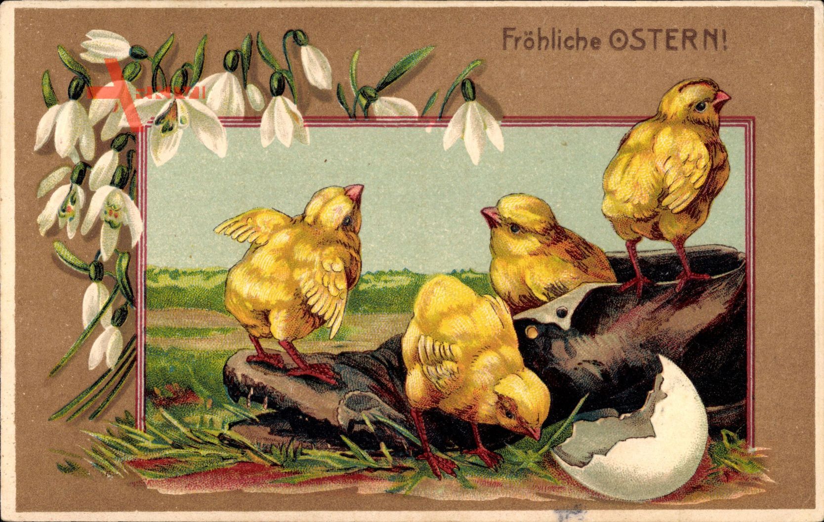 Glückwunsch Ostern, Küken schlüpfen aus Eierschale, Schuh