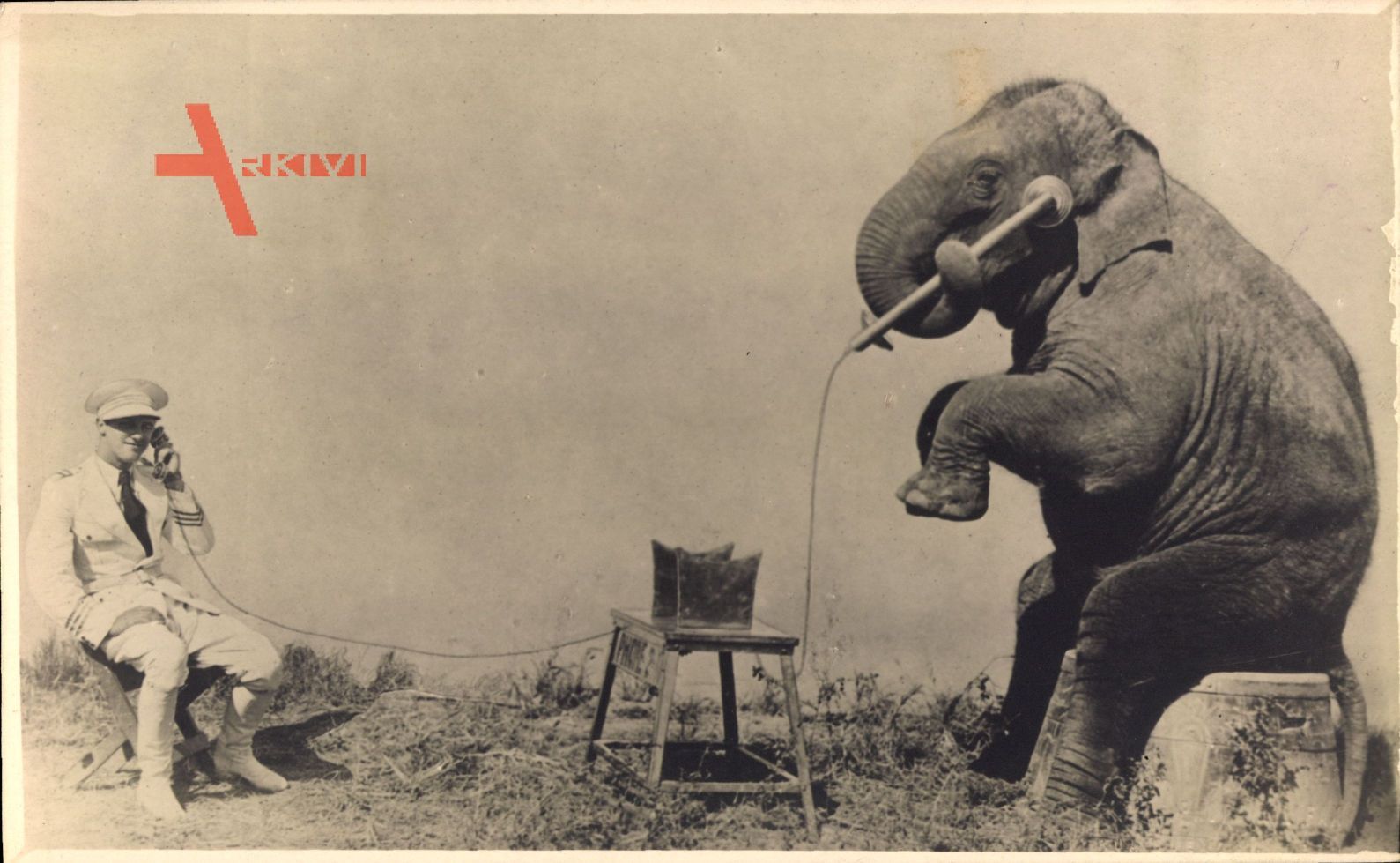 Sitzender Elefant mit Wärter, Telefon, Kunststück
