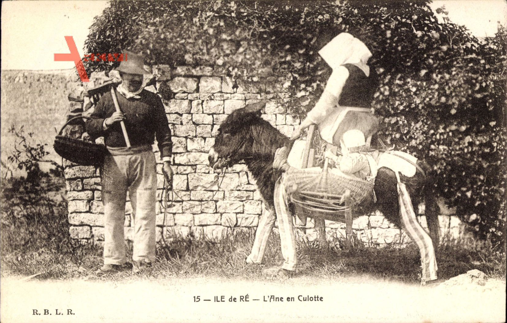 Île de Ré, L'Ane en Culotte, Esel, Französische Bauern