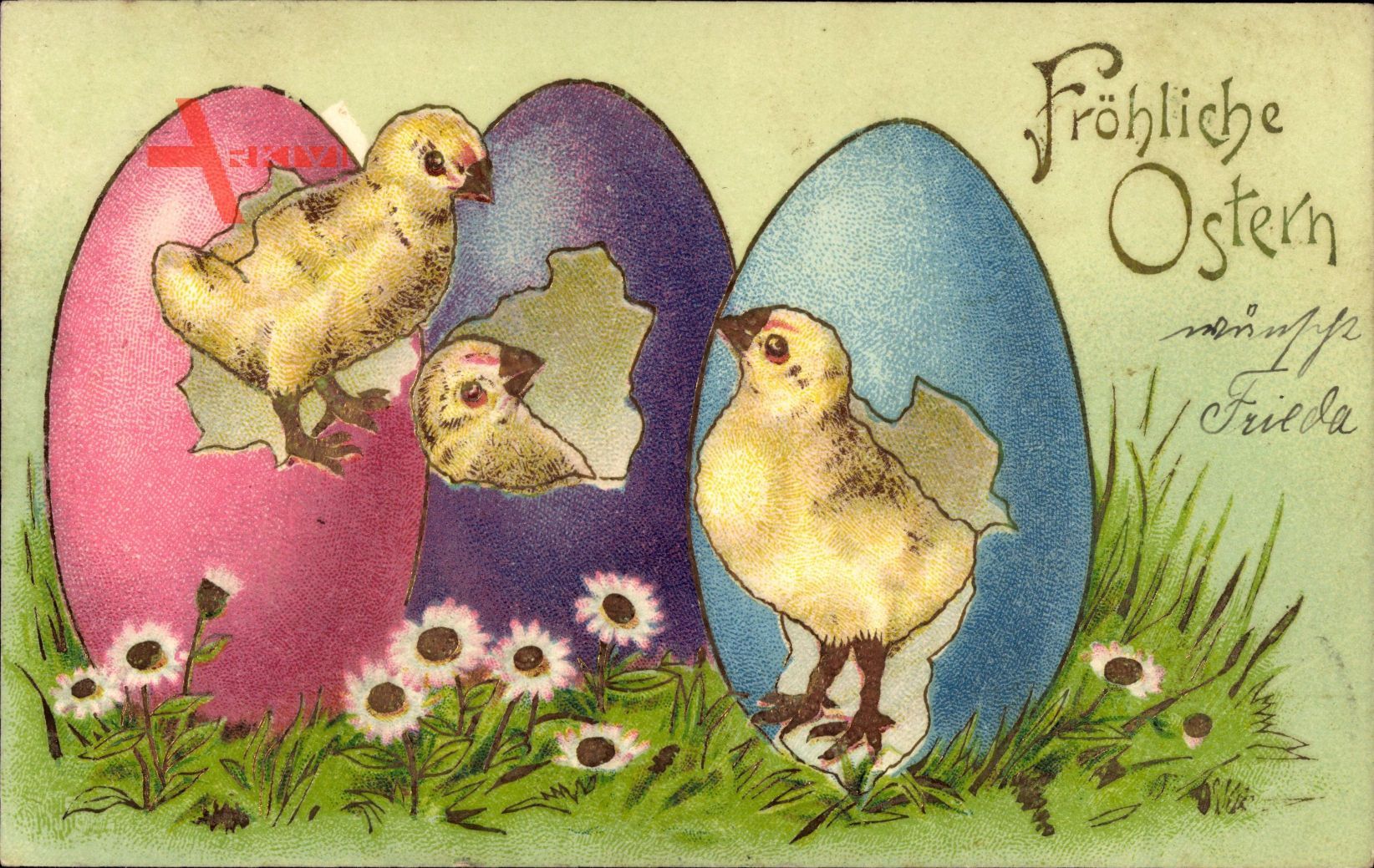 Glückwunsch Ostern, Küken schlüpfen aus gefärbten Eiern, Ostereier