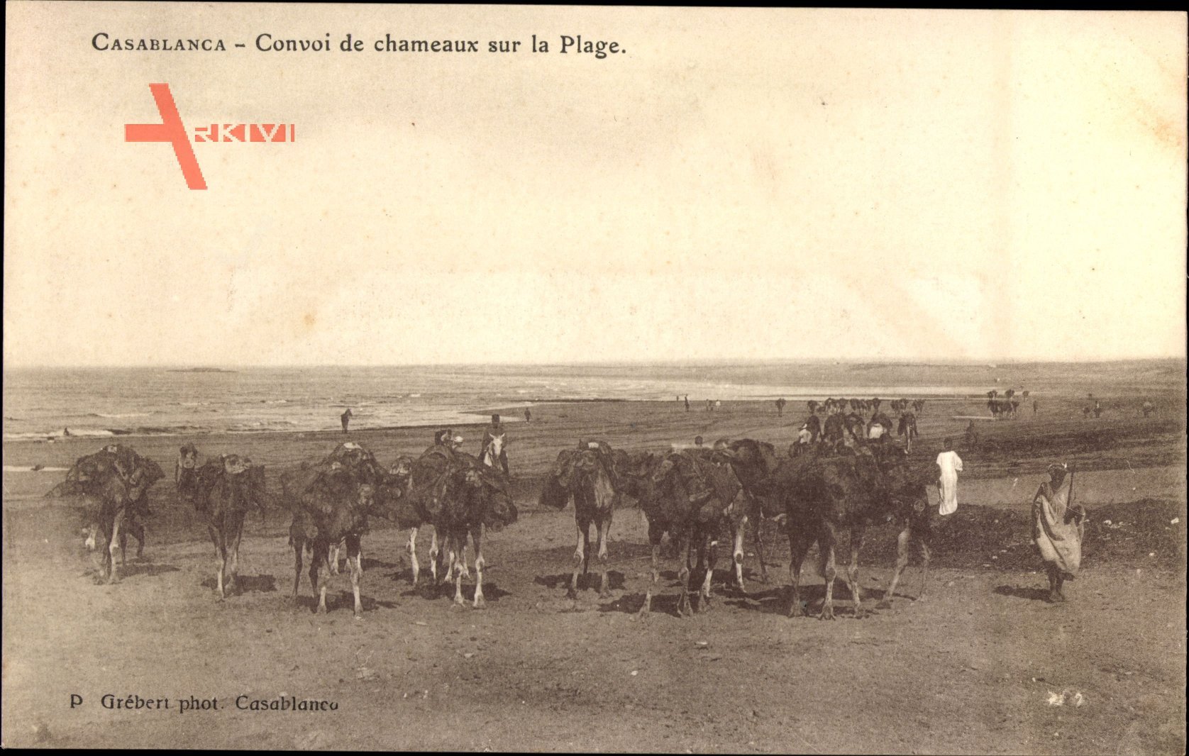 Casablanca Marokko, Convoi de chameaux sur la Plage