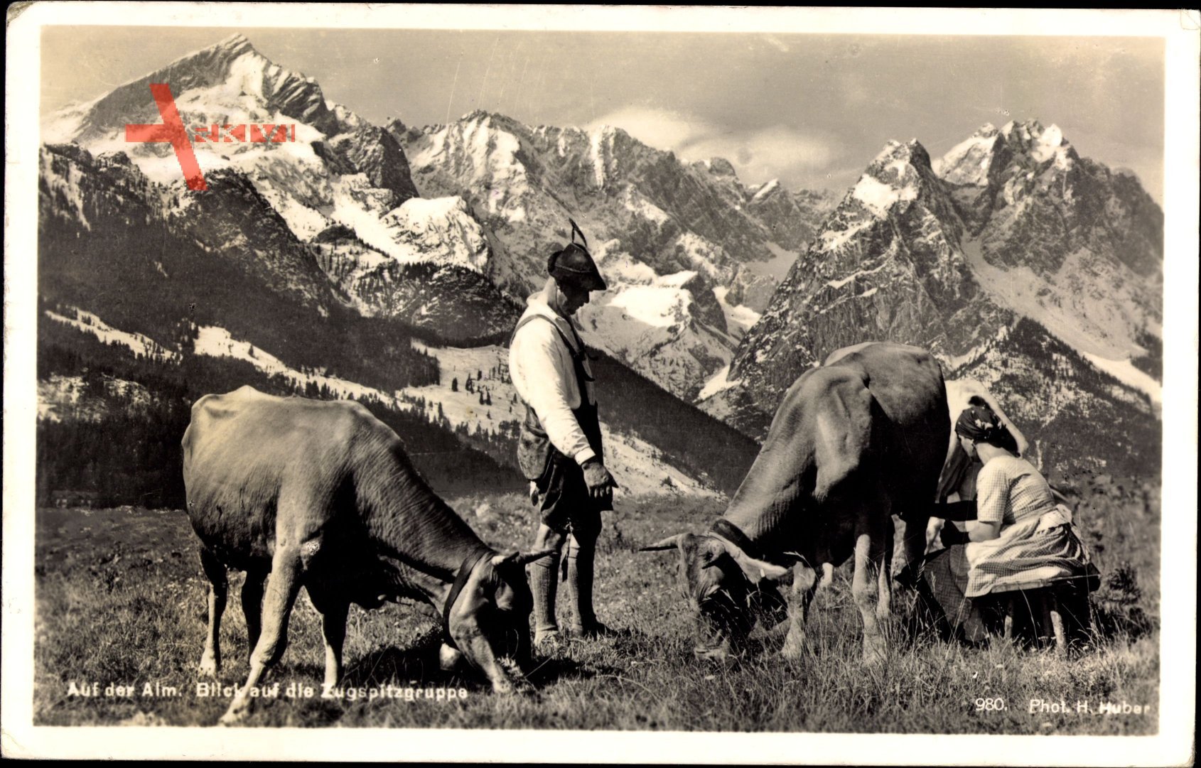 Auf der Alm, Blick auf die Zugspitzgruppe, Bauern melken Kühe