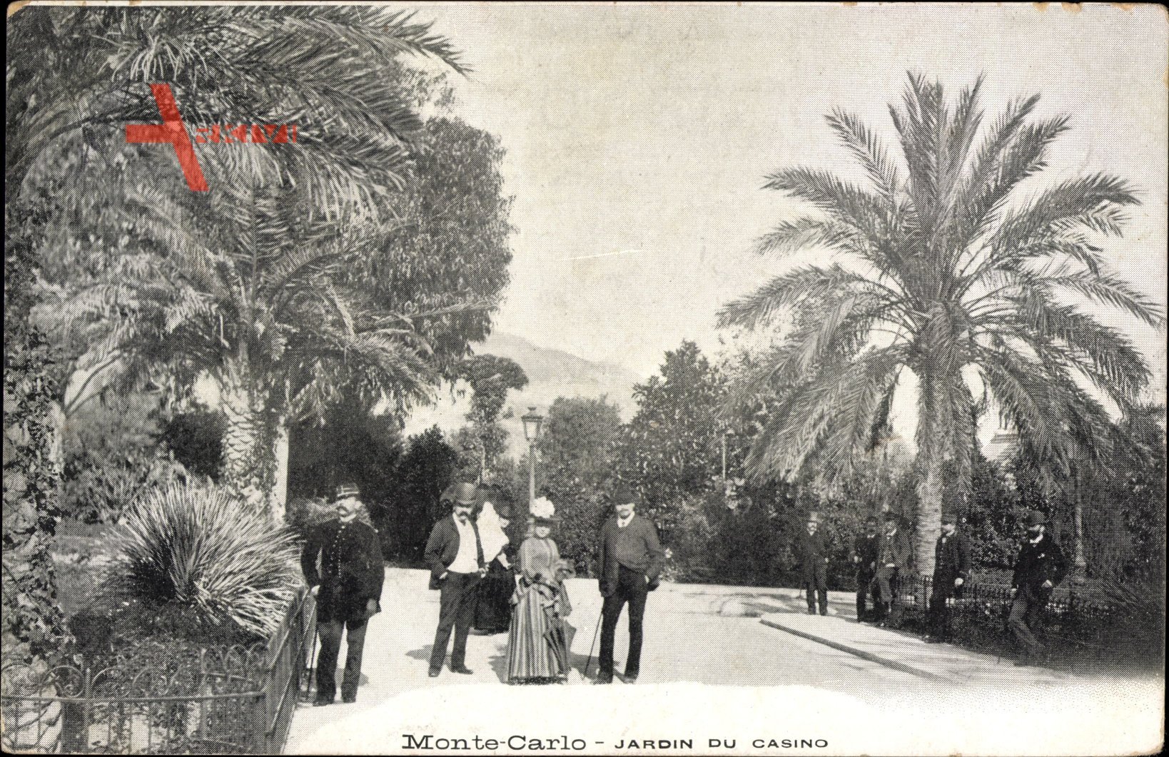 Monte Carlo Monaco, Jardin du Casino, Gartenanlagen, Palme