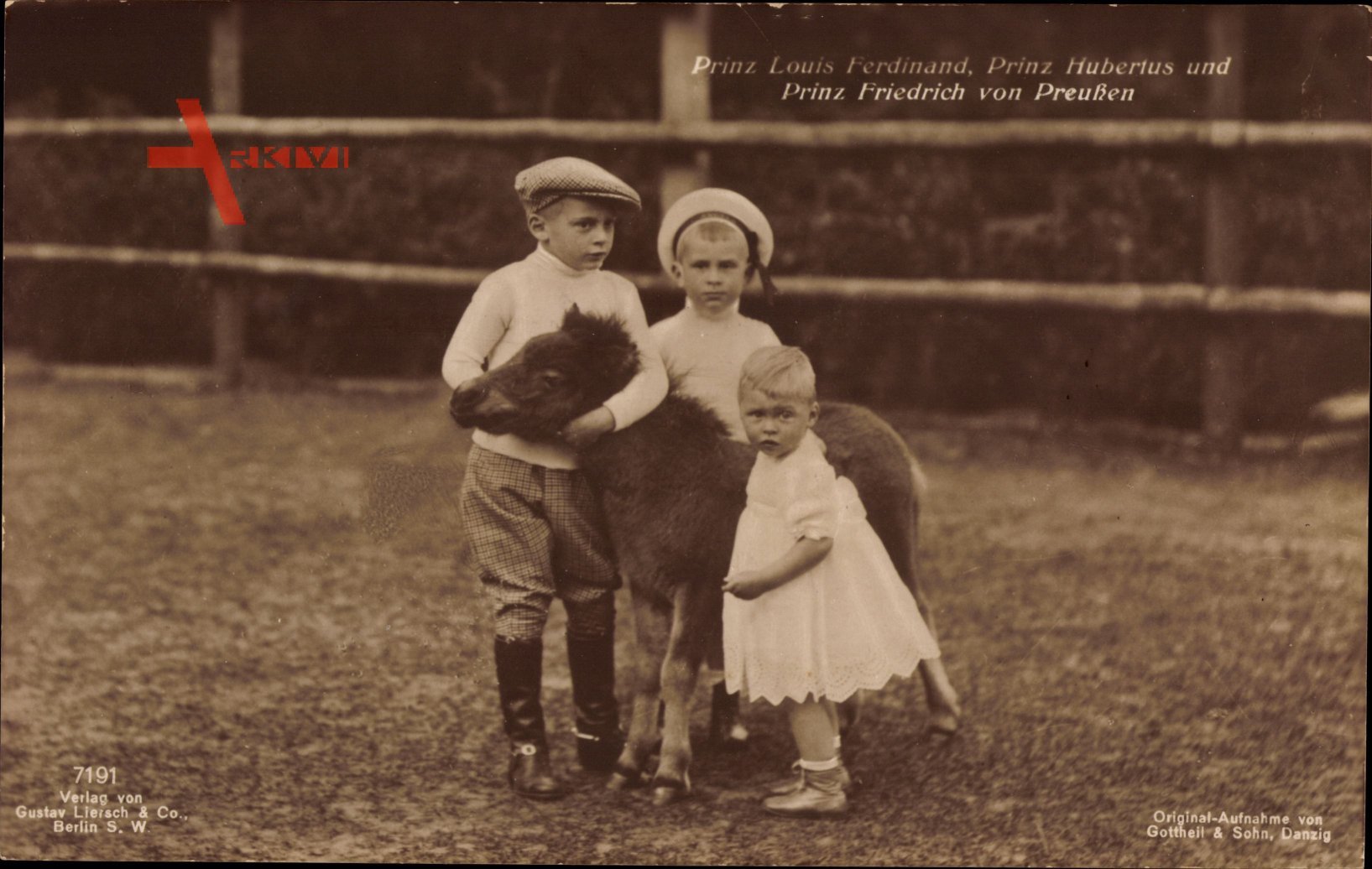 Prinz Louis Ferdinand, Prinz Hubertus und Prinz Friedrich von Preußen, Pony