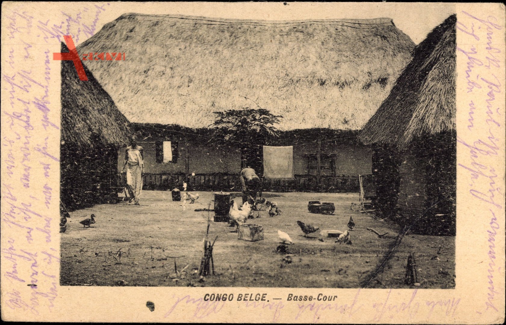 Belgisch Kongo Zaire, Basse Cour, Bauernhof, Haus mit Strohdach, Hühner