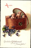 Glückwunsch Neujahr, Vier Schweine in einer Dose, Kleeblätter