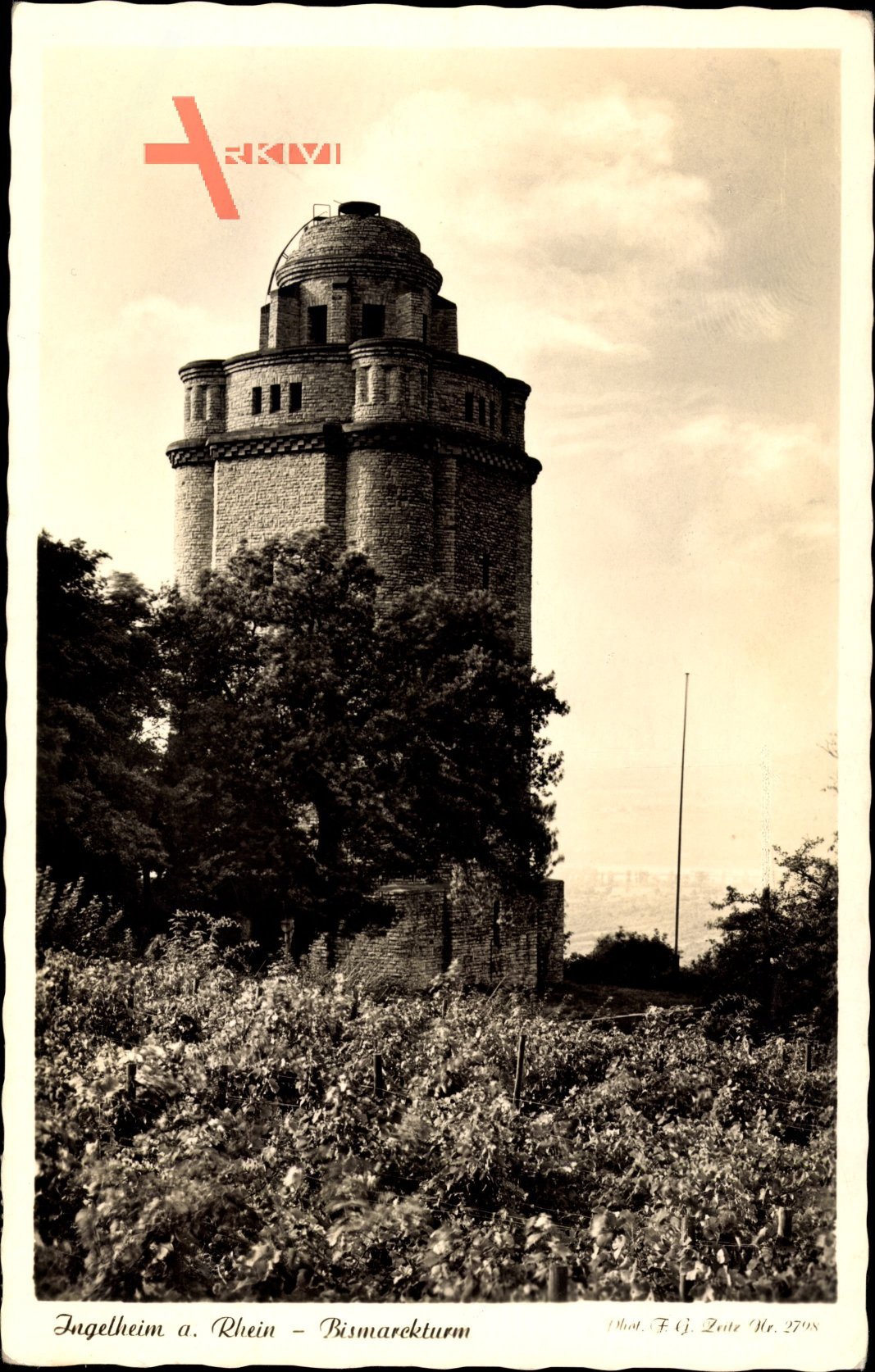 Ingelheim am Rhein, Blick auf den Bismarckturm, Weinstöcke