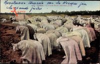 Biskra Algerien, La Grande Prière, Gebet, Deuxième phase, Muslime