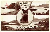 Loch Lomond Schottland, Scottish Terrier, Balmaha, Ardlui, Rowardennan
