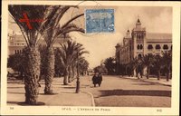 Sfax Tunesien, LAvenue de Paris, Straßenpartie im Ort, Palmen