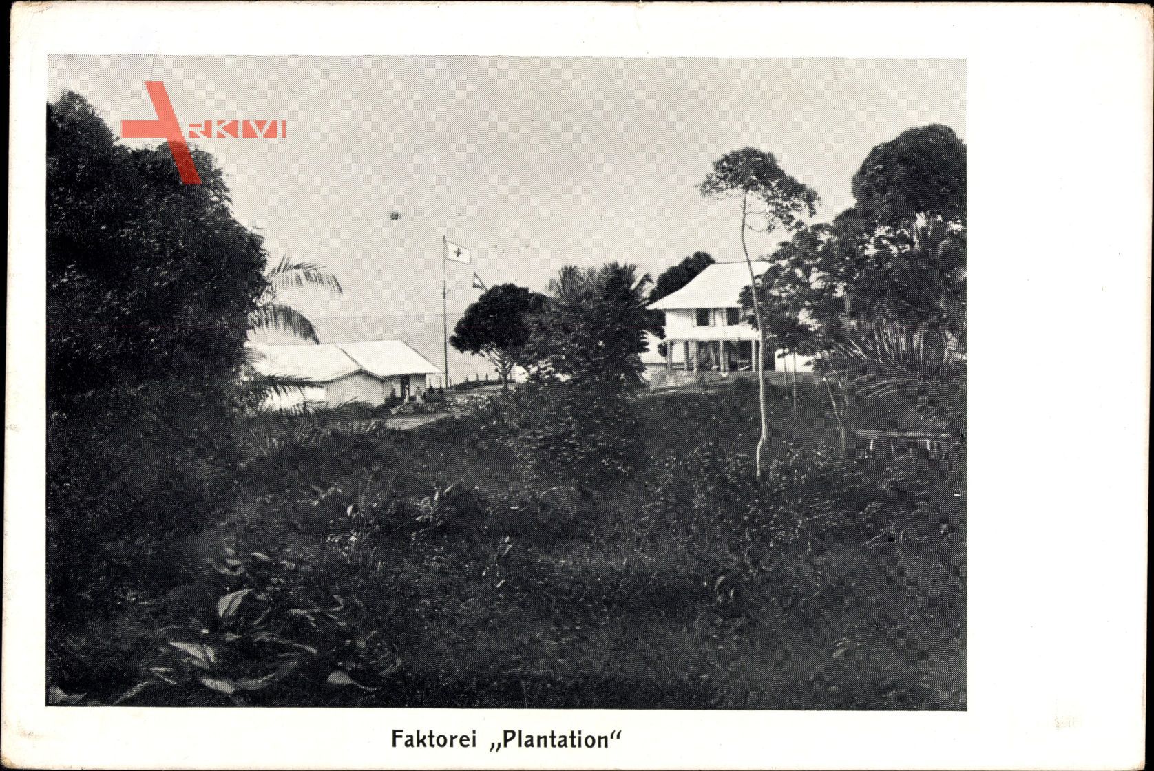 Kamerun, Faktorei Plantation, Missionarshaus im Gebüsch