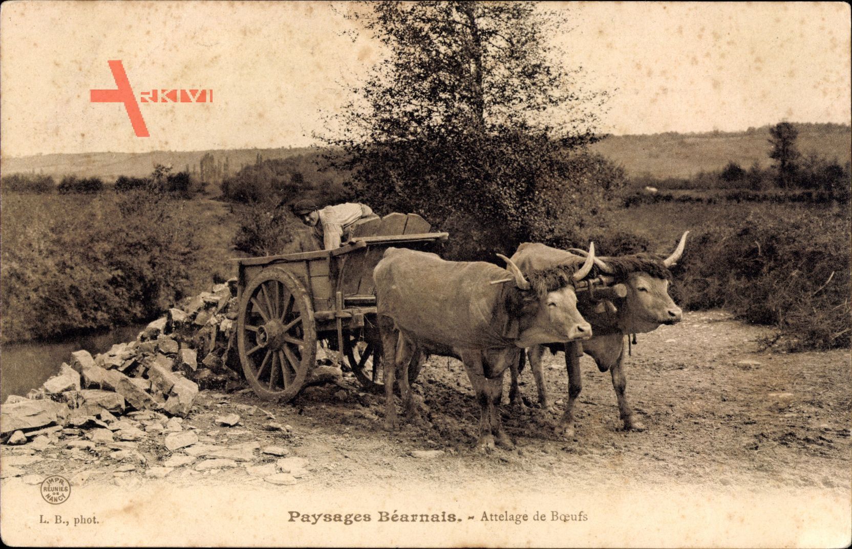 Paysages Béarnais, Attelage de Boeufs, Zugochsen, Karren, Bauer