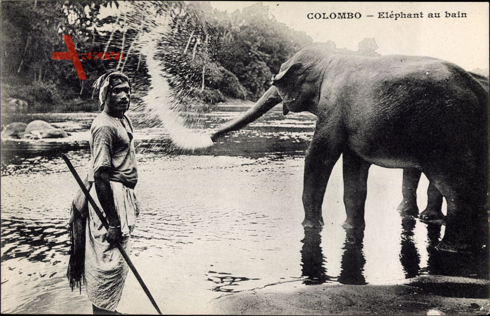 Colombo Ceylon Sri Lanka, Elephant au bain, Elefant beim Baden