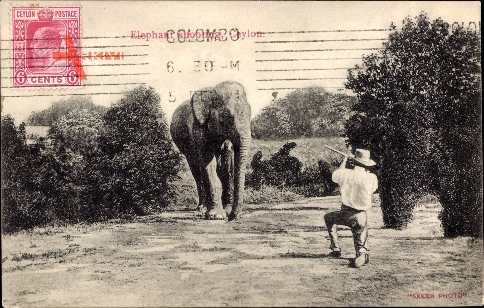 Ceylon, Elephant shooting, Mann schießt auf Elefant, Jagdszene