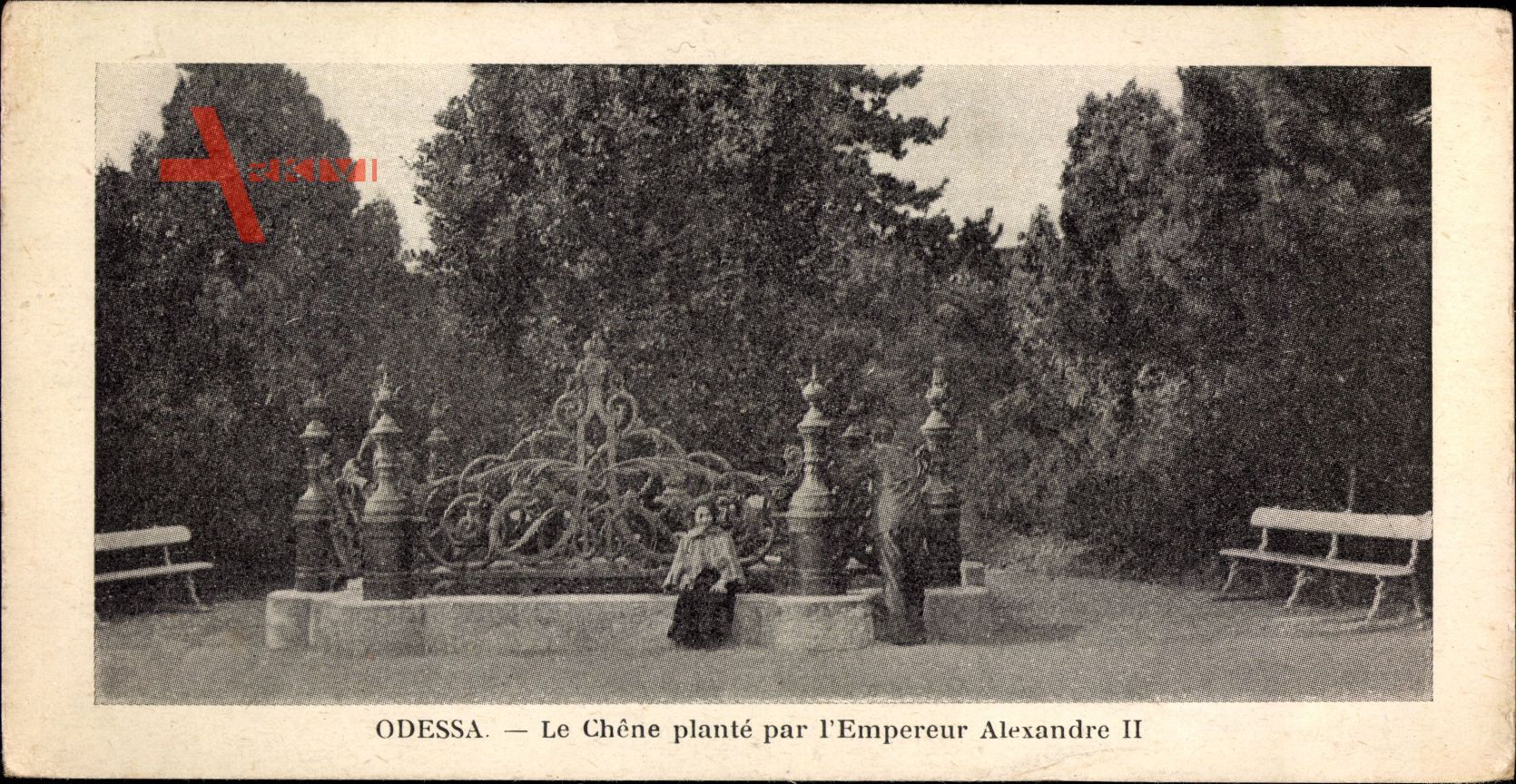 Odessa Ukraine, Le Chêne planté par l'Empereur Alexandre II.