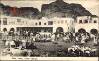Aden Jemen, Camp, Camel Market, Kamelmarkt, Felsen