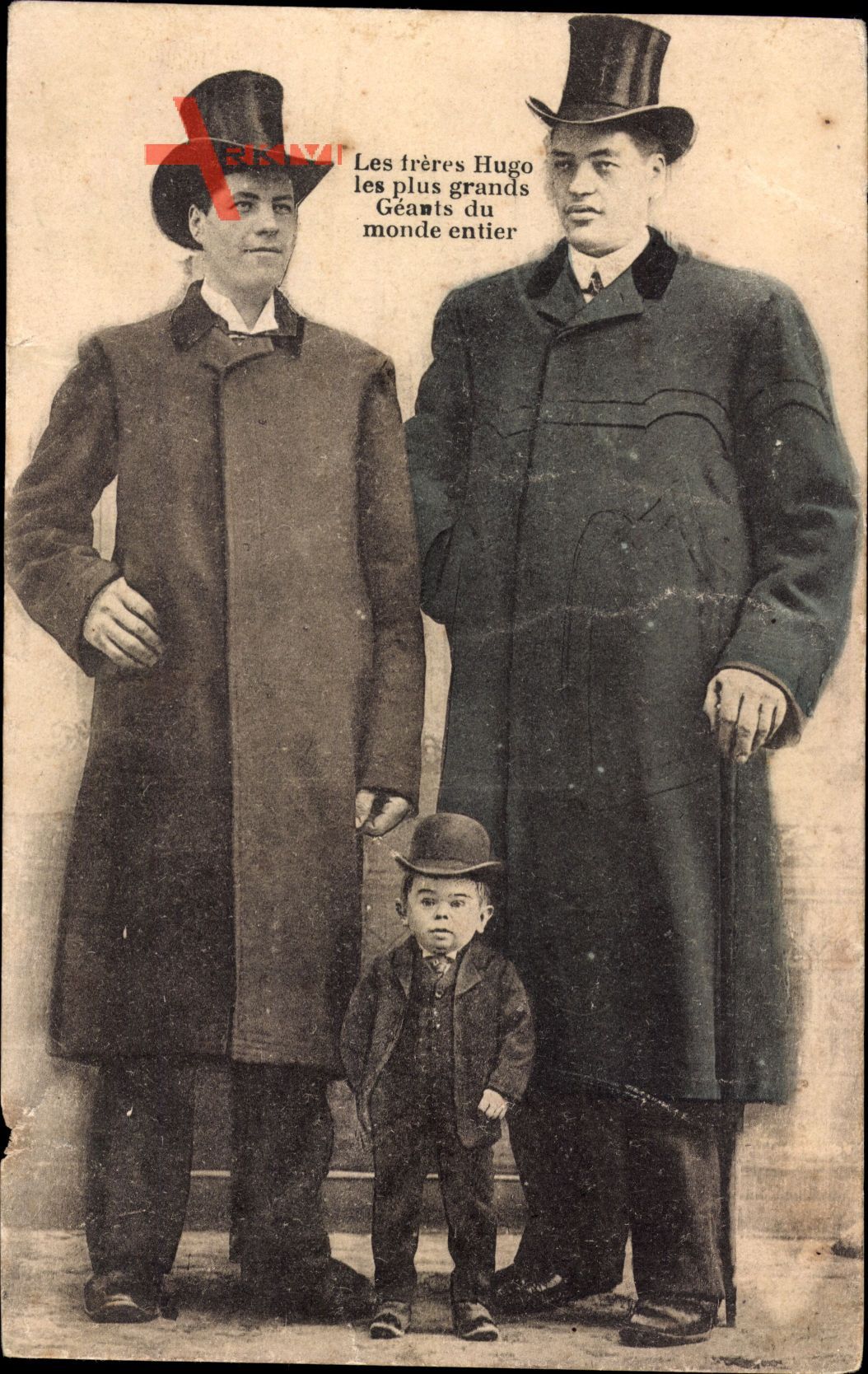 Les frères Hugo, les plus grands Géants du monde entier, Riesen, Liliputaner
