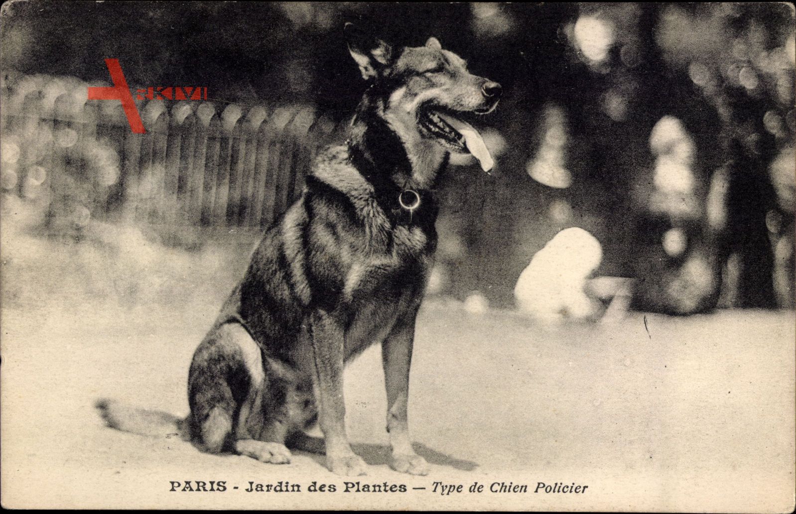 Paris, Jardin des Plantes, Type de Chien Policier, Polizeihund