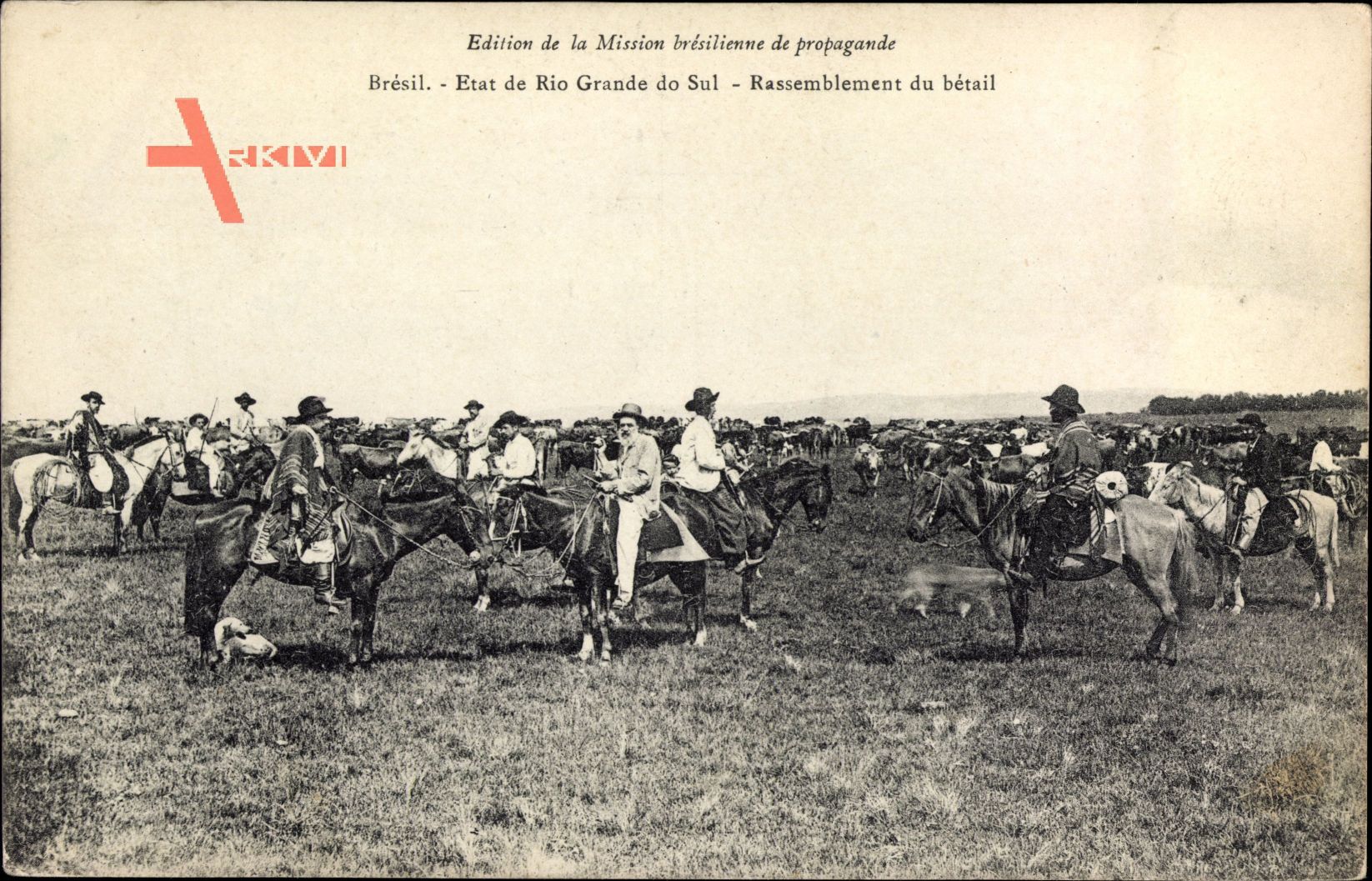 Rio Grande do Sul Brasilien, Rassemblement du bétail, Cowboys