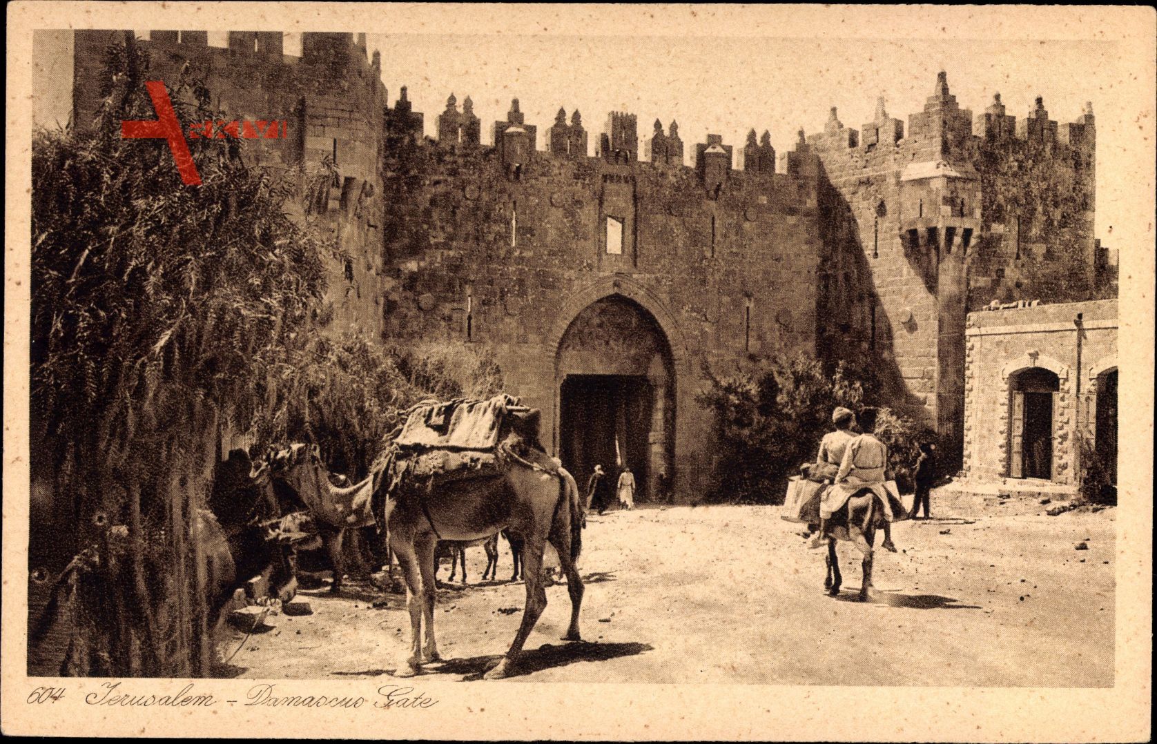 Jerusalem Israel, Damascus gate, Blick auf das Damaskus Tor, Kamel
