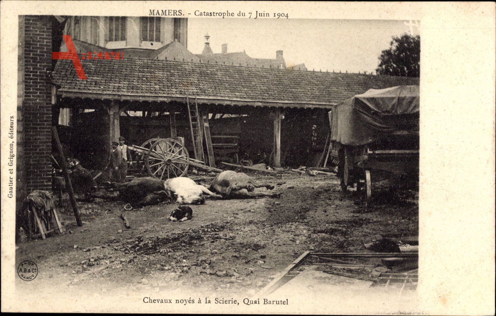 Mamers Sarthe, Catastrophe du 7 juin 1904, Chevaux noyes a la Scierie