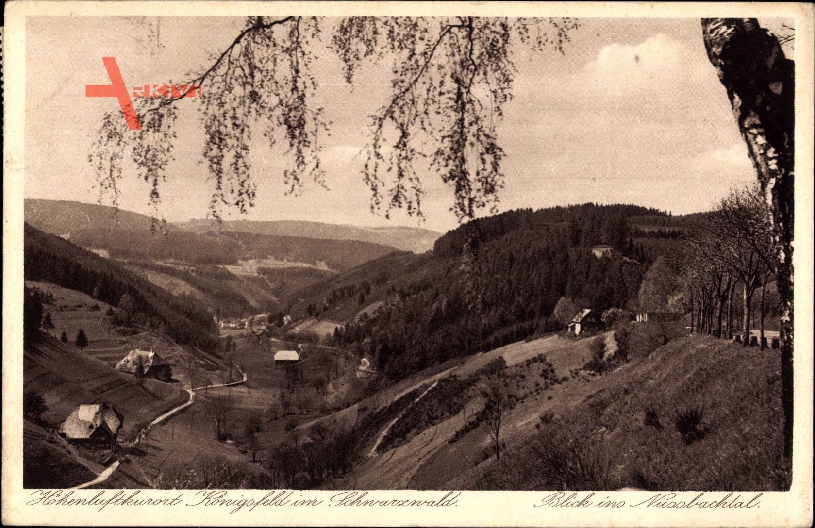 Königsfeld im Schwarzwald Baar Kreis, Blick ins Nussbachtal, Felder