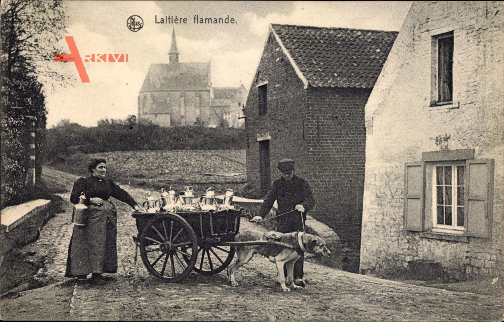 Laitière flamande, Flämisches Milchmädchen, Zughund, Belgien
