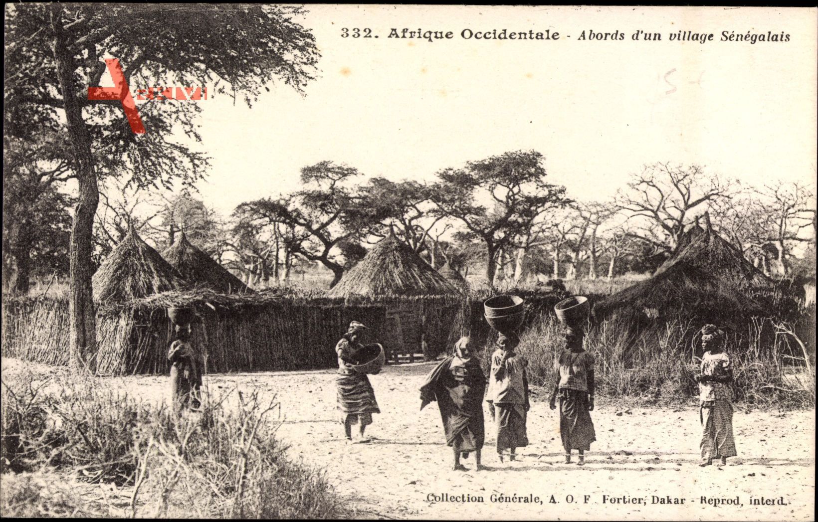 Senegal, Afrique Occidentale, Abords d'un village Sénégalais