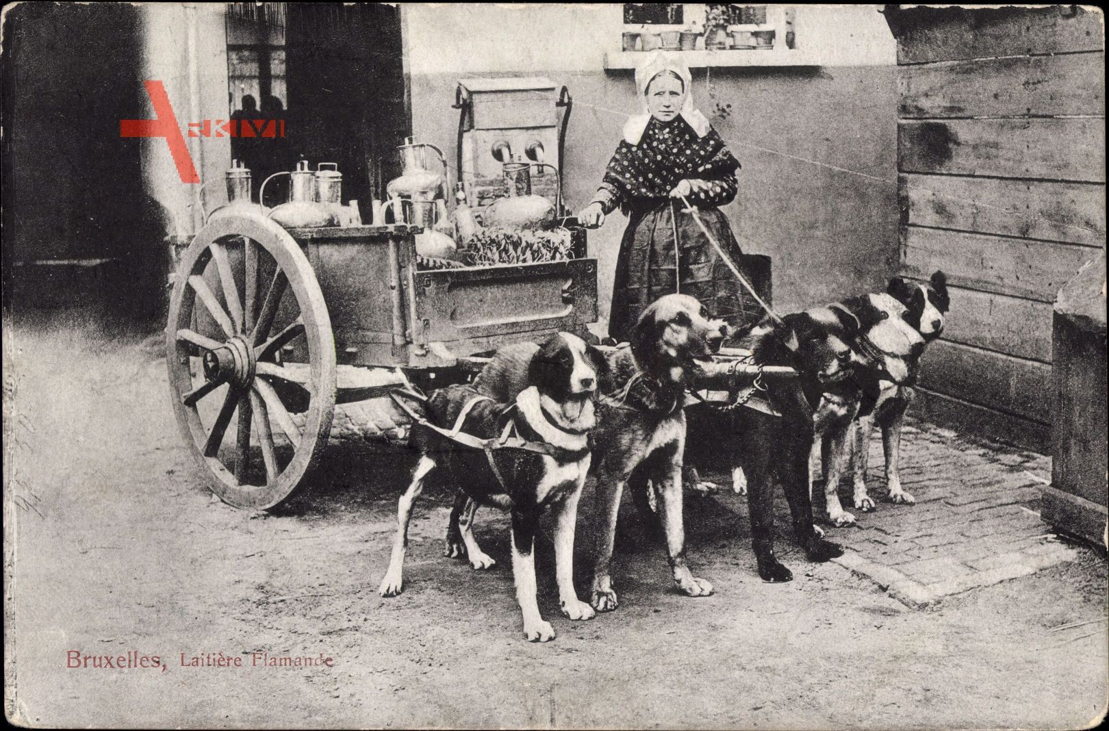 Frau in belgischer Tracht mit Hundekarren, Milchfrau, Zughunde