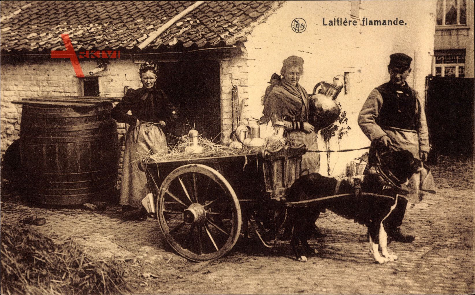 Laitiere flamande, Milchfrau in Tracht mit Hundekarren