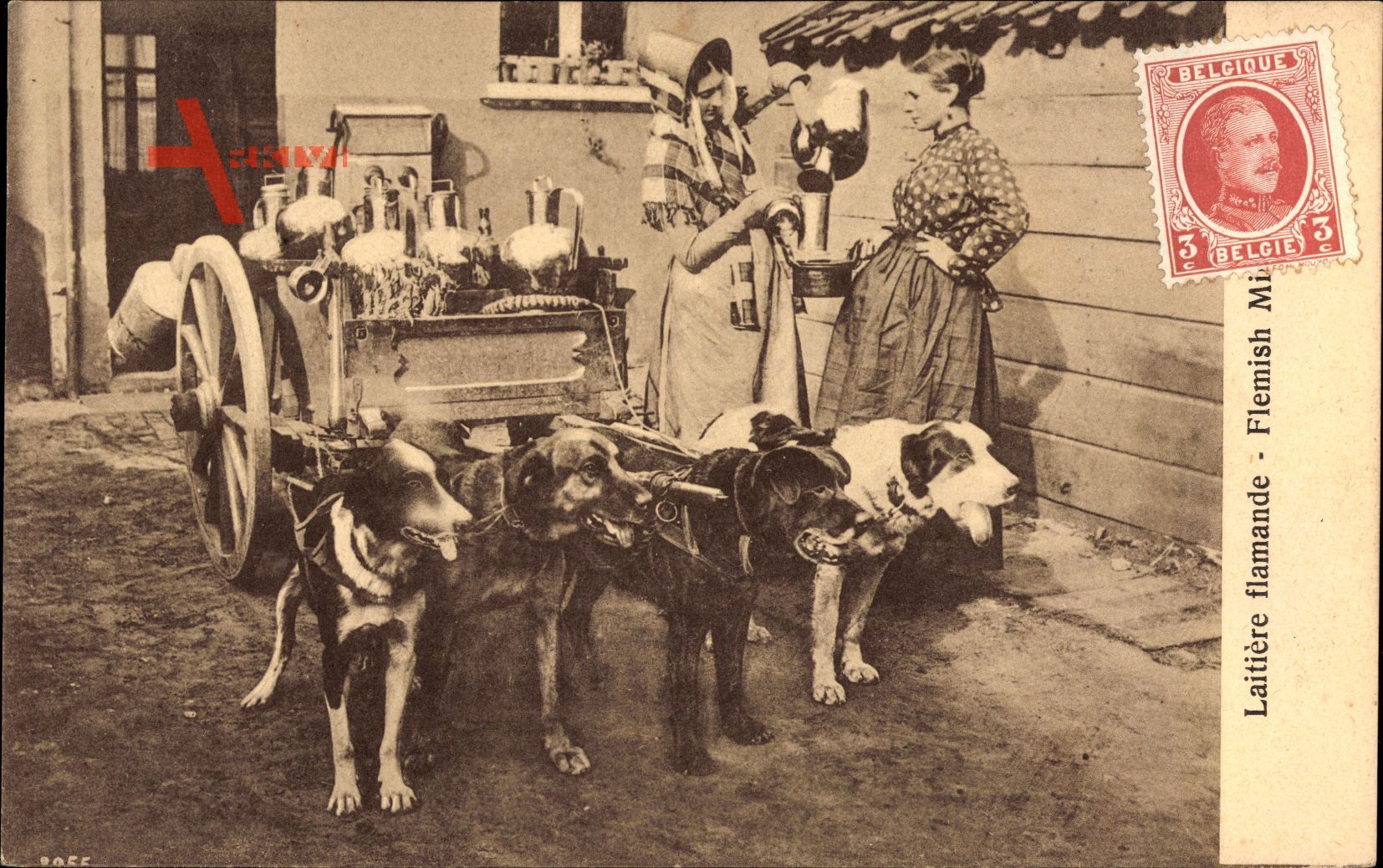 Laitiere flamande, Milchfrauen in Tracht mit Hundekarren, Milchkanne