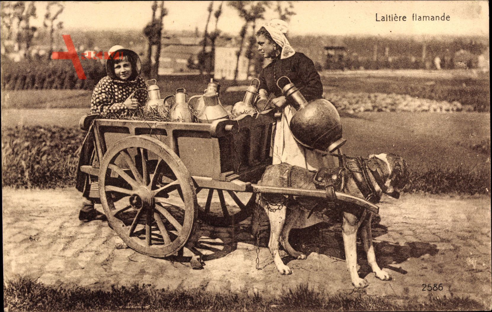 Laitiere flamande, Milchfrau in Tracht mit Hundekarren, Milchkannen