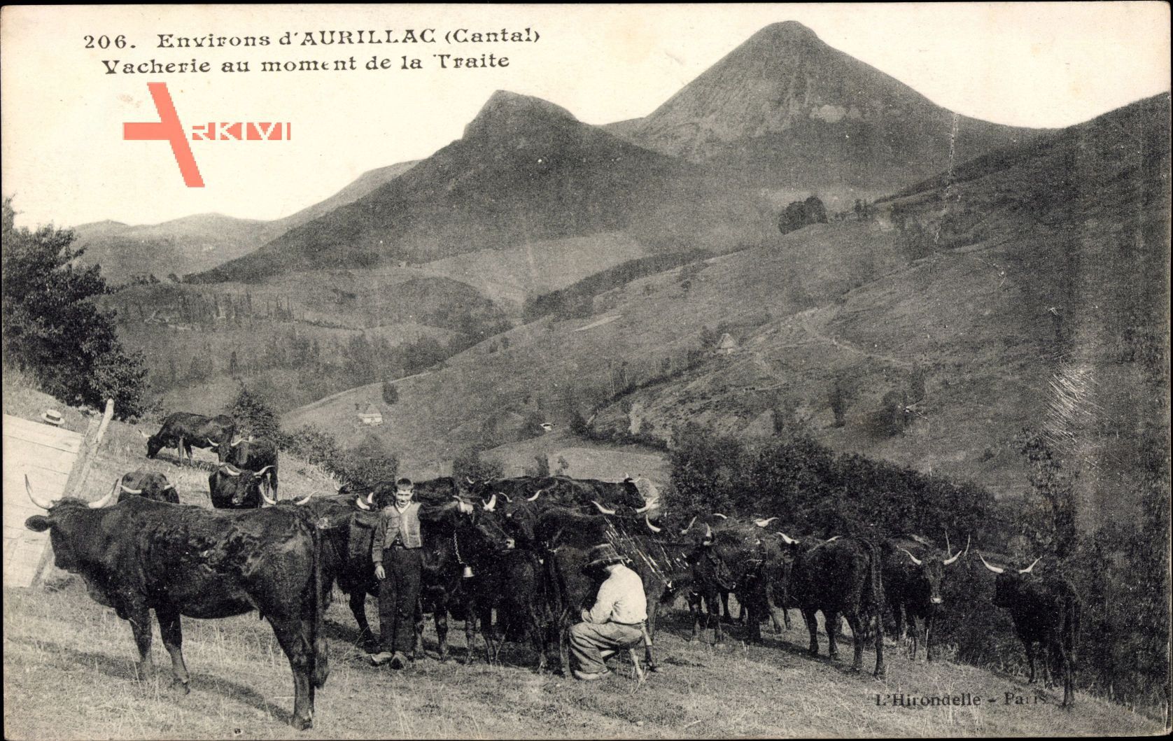 Environs dAurillac Cantal, Vacherie au monent de la Traite, Kühe