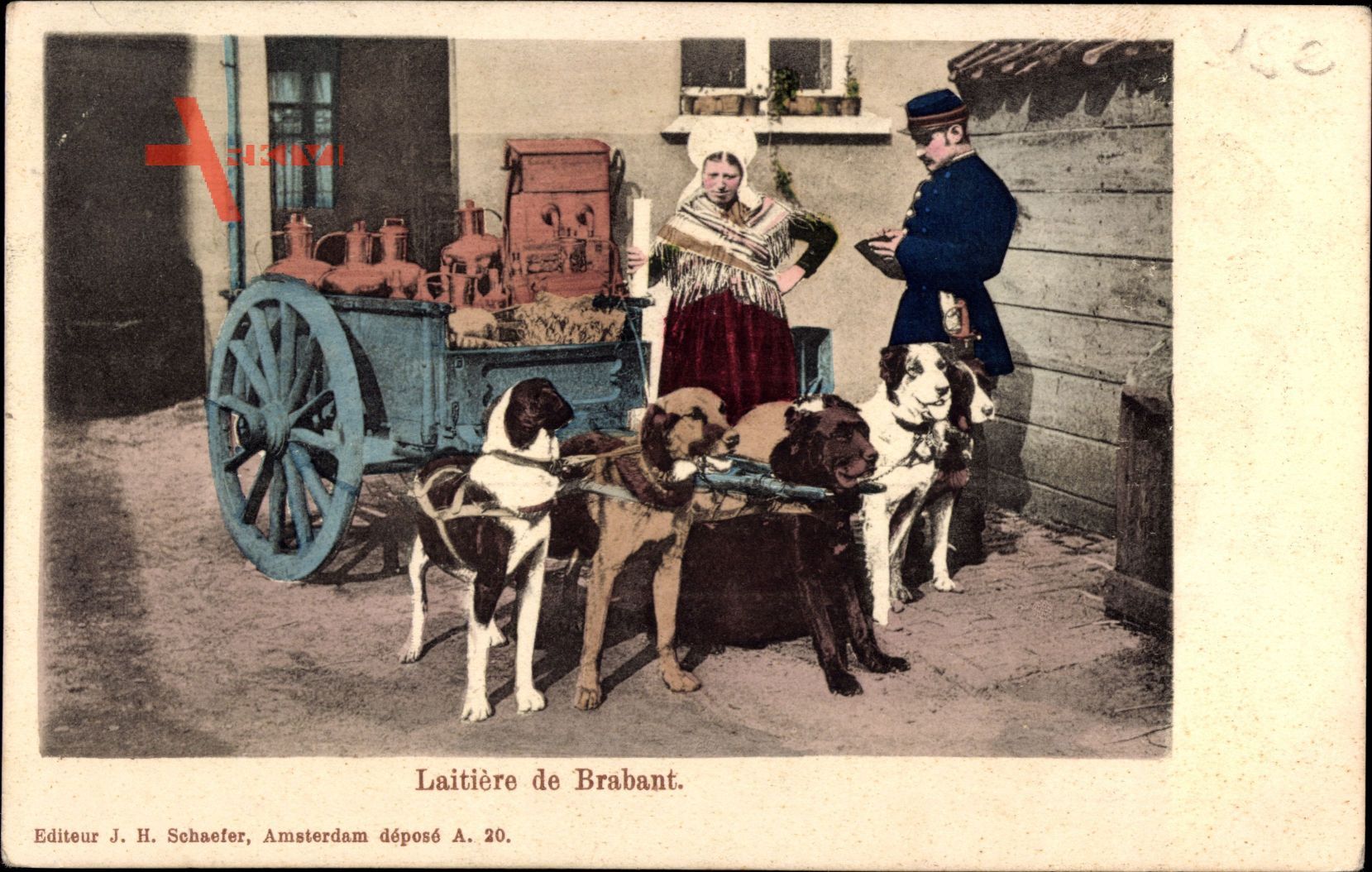Belgien, Laitière de Brabant, Milchmädchen, Zughunde
