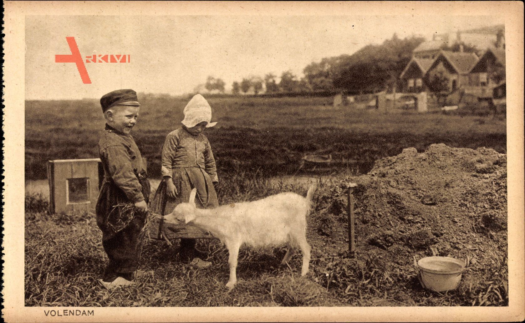 Edam Volendam Nordholland, Kinder füttern eine Ziege